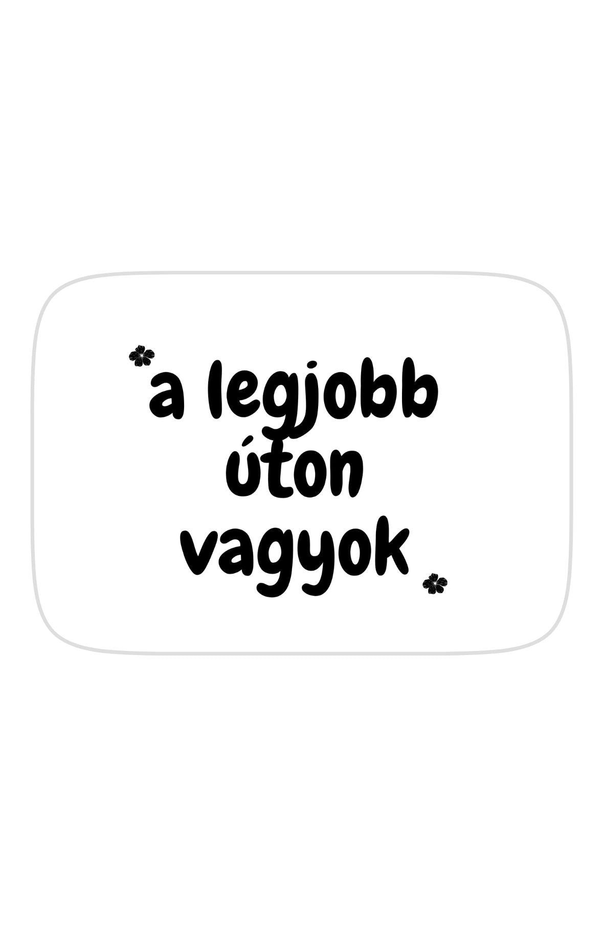 A legjobb úton vagyok téglalap alakú hűtőmágnes