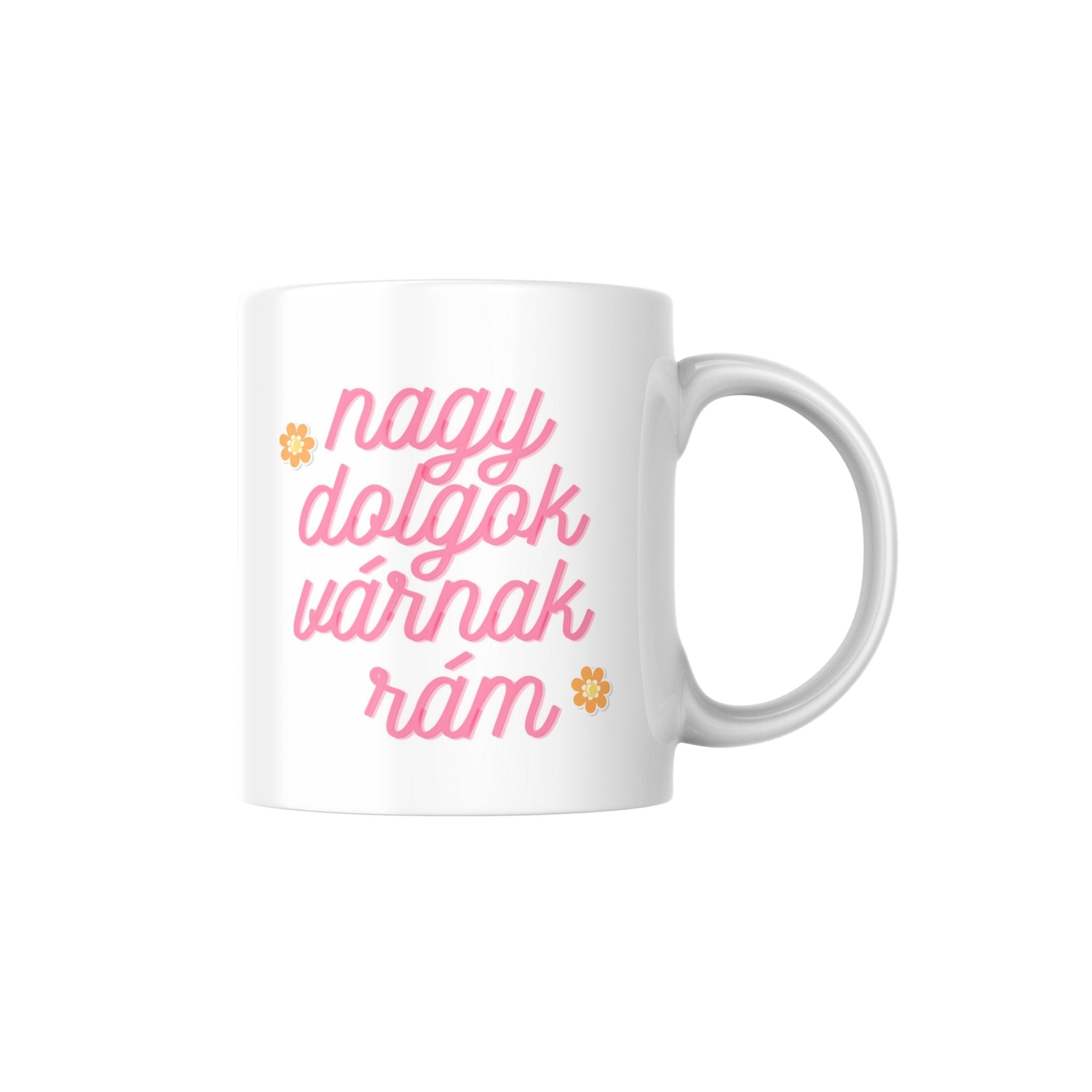 Nagy dolgok várnak rám, Sikert vonzok be Bögre